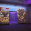 Проекционный дизайн "Виртуальная реальность" базовый комплект 500 анимаций - «globural.ru» - Ангарск