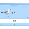 Английский язык. Освоение клавиатуры - «globural.ru» - Ангарск