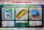 Стенды для кабинета биологии - «globural.ru» - Ангарск