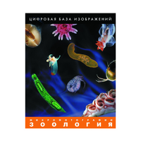 Зоология. Микрофотографии. (Цифровая база изображений) - «globural.ru» - Ангарск