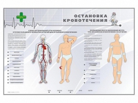 Электрифицированный стенд "Остановка кровотечения" - «globural.ru» - Ангарск