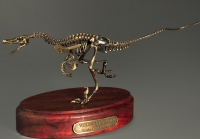 Модель скелета динозавра Velociraptor - «globural.ru» - Ангарск
