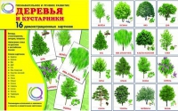 Демонстрационные карточки "Деревья и кустарники" - «globural.ru» - Ангарск