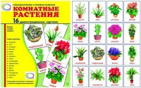 Демонстрационные карточки "Комнатные растения" - «globural.ru» - Ангарск