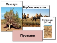 Модель-аппликация "Природные зоны России" - «globural.ru» - Ангарск