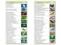 Комплект карточек (10) "Обучающий калейдоскоп. Природа" - «globural.ru» - Ангарск