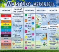 Стенд "We study english" - «globural.ru» - Ангарск