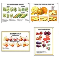 Плакаты ПРОФТЕХ "Ассортимент овощных культур" (12 пл, винил, 70х100) - «globural.ru» - Ангарск