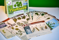 Гербарий к курсу основ общей биологии - «globural.ru» - Ангарск