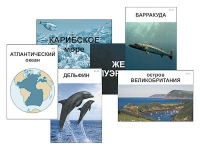 Модель-аппликация "Океаны. Знакомство" (ламинированная) - «globural.ru» - Ангарск