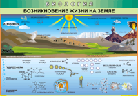 Таблица Возникновение жизни на Земле 1000*1400 винил - «globural.ru» - Ангарск
