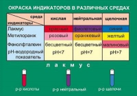 Таблица Окраска индикаторов в различных средах (винил) - «globural.ru» - Ангарск
