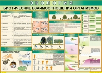 Таблица Биотические взаимоотношения организмов 1000*700 (винил) - «globural.ru» - Ангарск