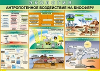 Таблица Антропогенное воздействие на биосферу 1000*700 винил - «globural.ru» - Ангарск