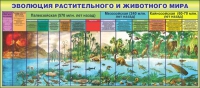 Стенд "Эволюция растительного и животного мира" - «globural.ru» - Ангарск