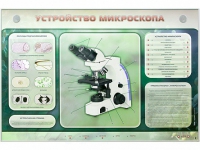 Электрифицированный стенд "Устройство микроскопа и правила работы c ним" - «globural.ru» - Ангарск