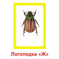 Логопедка "Ж" (логопедические карточки) - «globural.ru» - Ангарск