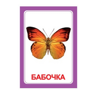 Логопедка "Ч" (логопедические карточки) - «globural.ru» - Ангарск