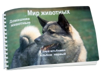 Пособие для слабовидящих "Домашние животные" - «globural.ru» - Ангарск