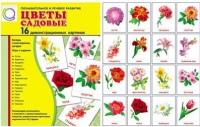 Демонстрационные карточки "Цветы садовые" - «globural.ru» - Ангарск