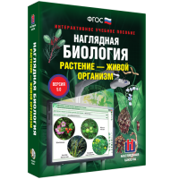 Наглядная биология. Растение - живой организм - «globural.ru» - Ангарск