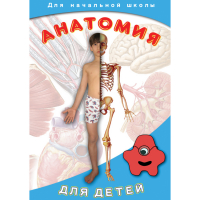 DVD  Анатомия для детей - «globural.ru» - Ангарск