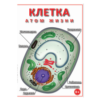 DVD Клетка - "атом жизни" - «globural.ru» - Ангарск