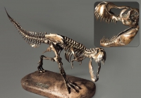 Модель скелета динозавра Tyrannosaurus - «globural.ru» - Ангарск