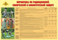 Плакат "Нормативы по радиационной, химической и биологической защите" - «globural.ru» - Ангарск