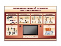 Многофункциональный интерактивный стенд-тренажер "Оказание первой помощи пострадавшим" для учащихся общеобразовательных учреждений - «globural.ru» - Ангарск