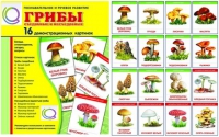 Демонстрационные карточки  "Грибы съедобные и не съедобные" - «globural.ru» - Ангарск
