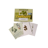 Гербарий "Деревья и кустарники" (22 вида, с иллюстрациями) - «globural.ru» - Ангарск