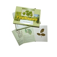 Гербарий "Дикорастущие растения" (30 видов, с иллюстрациями) - «globural.ru» - Ангарск