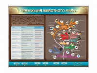 Интерактивный электрифицированный стенд "Эволюция животного мира" - «globural.ru» - Ангарск