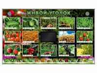 Комплект оборудования "Живой уголок" (растения) - «globural.ru» - Ангарск