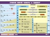 Таблица демонстрационная "Сравнение понятий изомер и гомолог" (винил 100х140) - «globural.ru» - Ангарск