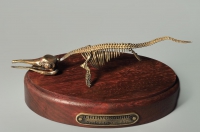 Модель скелета ихтиозавра Ichthyosaurus - «globural.ru» - Ангарск