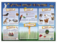 Стенд-уголок "Друзья наши меньшие" - «globural.ru» - Ангарск