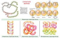 Плакаты и таблицы по общей химии - «globural.ru» - Ангарск