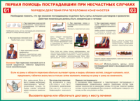 Таблица Порядок действий при переломах конечностей 1000*1400 винил - «globural.ru» - Ангарск