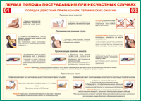 Таблица Порядок действий при ранениях и термических ожогах	 1000*1400 винил - «globural.ru» - Ангарск