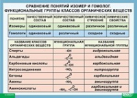 Химия. Сравнение понятий изомер и гомолог. Функциональные группы классов органических веществ (винил) - «globural.ru» - Ангарск