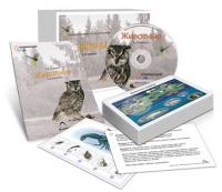 Комбинированное наглядное пособие «Животные» - «globural.ru» - Ангарск
