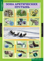 Окружающий мир 4 класс (комплект таблиц) - «globural.ru» - Ангарск