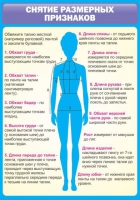 Стенд "Снятие мерок" (вариант 2) - «globural.ru» - Ангарск