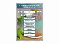 Стенд "Схема приготовления мясных котлет" - «globural.ru» - Ангарск