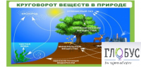 Стенд "Круговорот веществ" - «globural.ru» - Ангарск