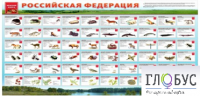 Стенд "Красная книга РФ" - «globural.ru» - Ангарск