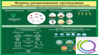 Стенд "Формы размножения организмов" - «globural.ru» - Ангарск