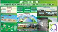 Стенд "Экология. Антропогенное воздействие на биосферу" - «globural.ru» - Ангарск